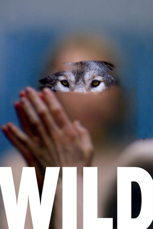 Wild постер