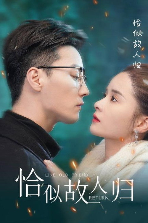 恰似故人归 постер