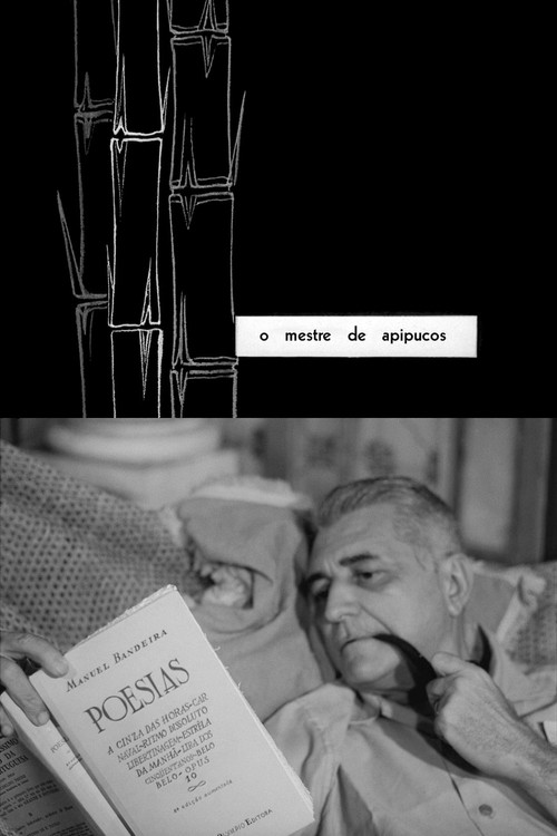 The Master of Apipucos постер