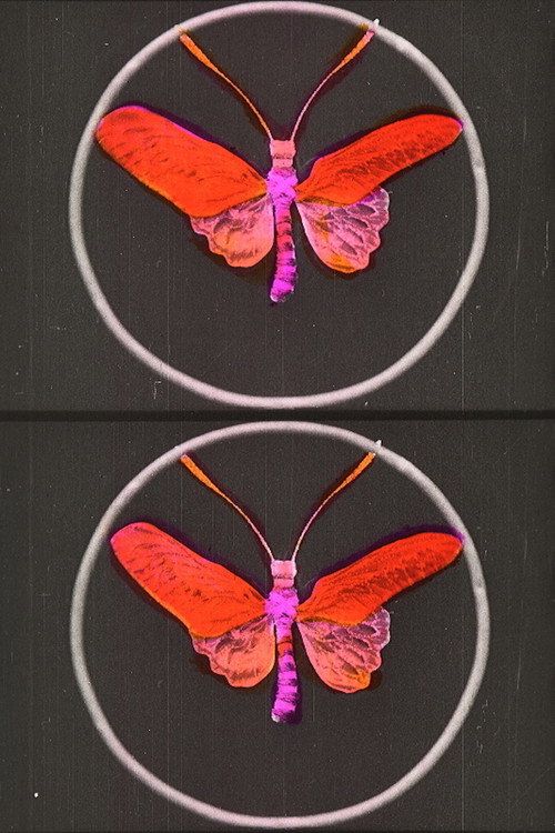 La Peine du talion постер