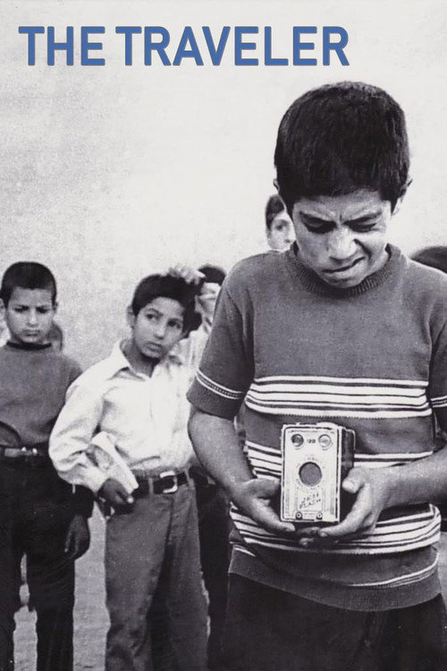 Путешественник постер