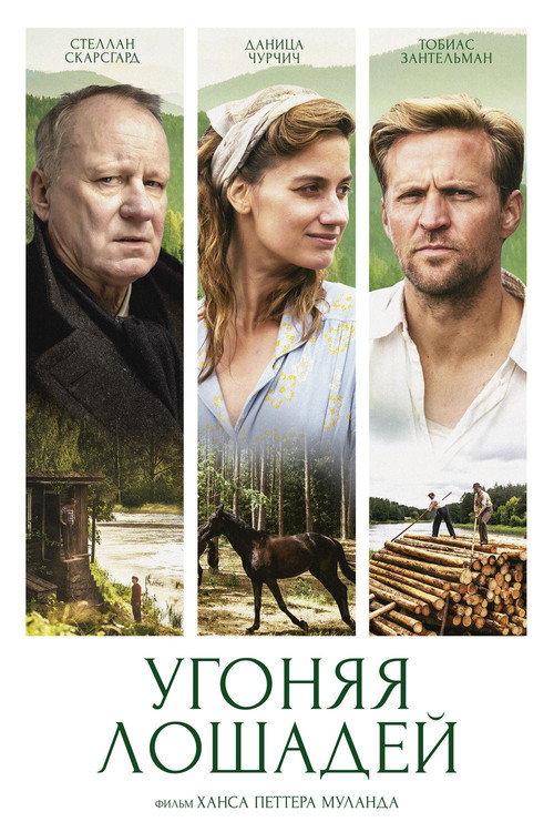Угоняя лошадей постер
