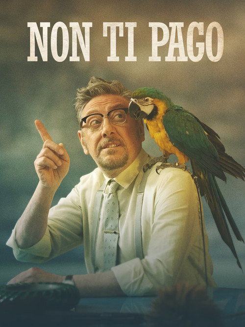 Non ti pago постер