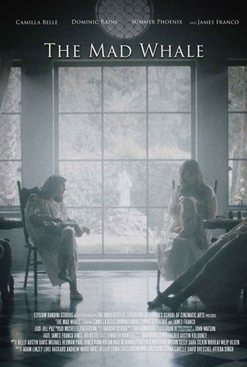 Безумный кит постер