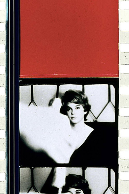 Schwechater постер