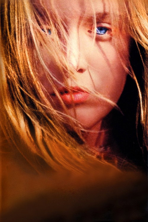 Little Lili постер