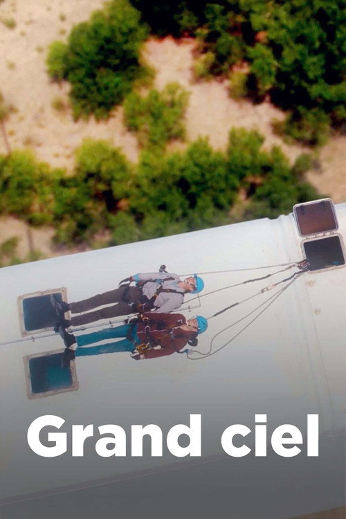 Grand ciel постер