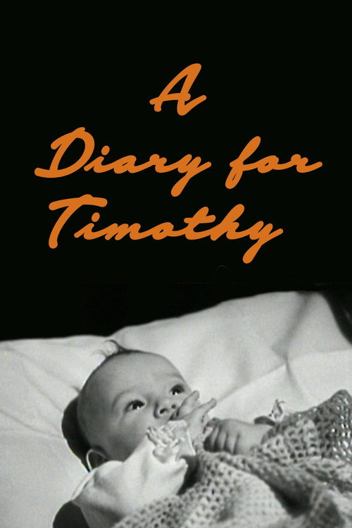 A Diary for Timothy постер