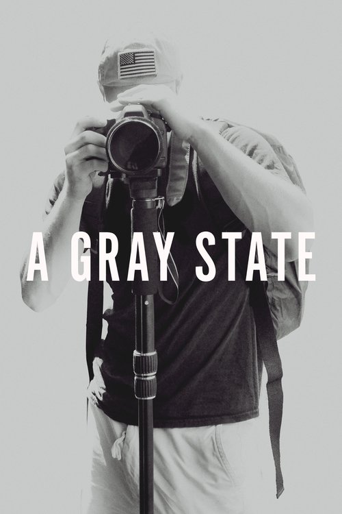 A Gray State постер