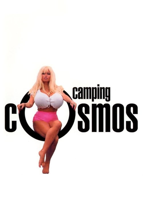 La Vie sexuelle des Belges partie 2 - Camping Cosmos постер