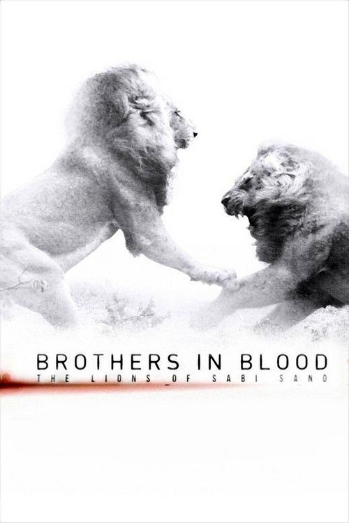 Brothers in Blood: The Lions of Sabi Sand постер