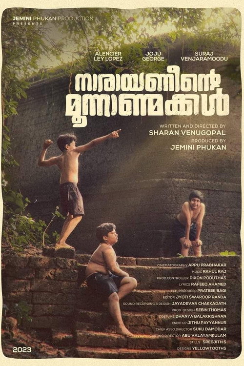 നാരായണീൻ്റെ മൂന്നാൺമക്കൾ постер