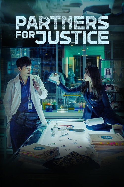 Partners for Justice постер