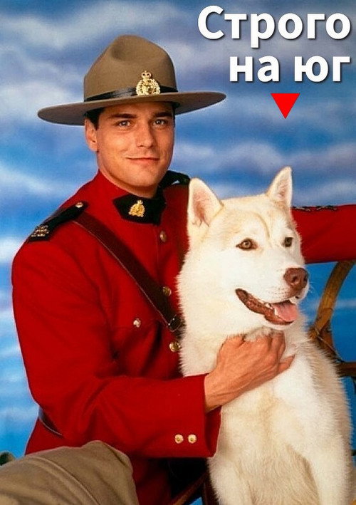 Строго на юг постер