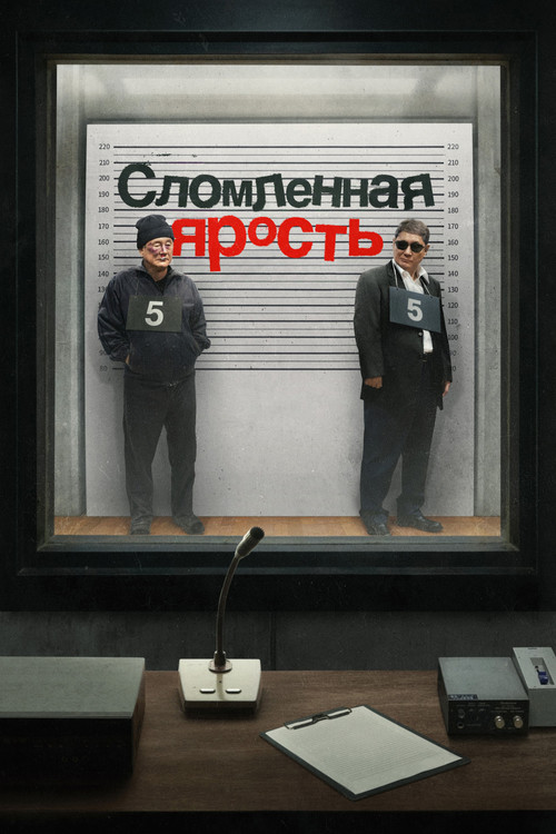 Сломленная ярость постер