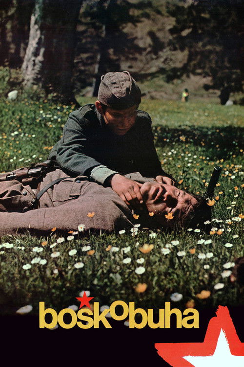 Boško Buha постер
