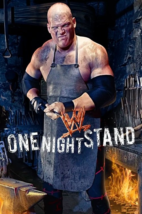 WWE One Night Stand 2008 постер