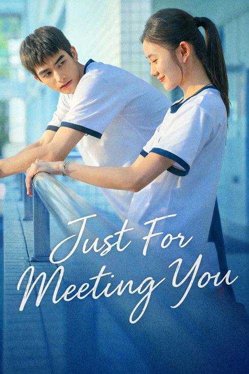 Just For Meeting You постер