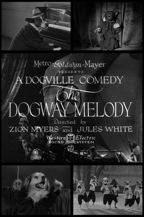 The Dogway Melody постер