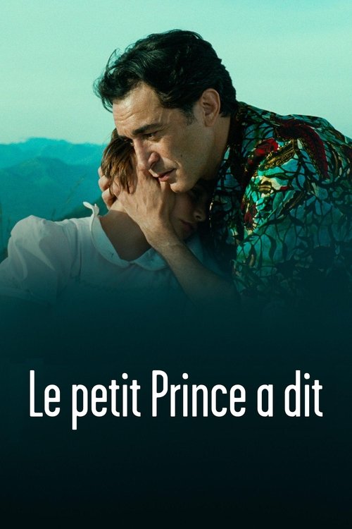 Le petit prince a dit постер