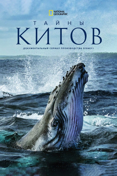 Секреты китов постер