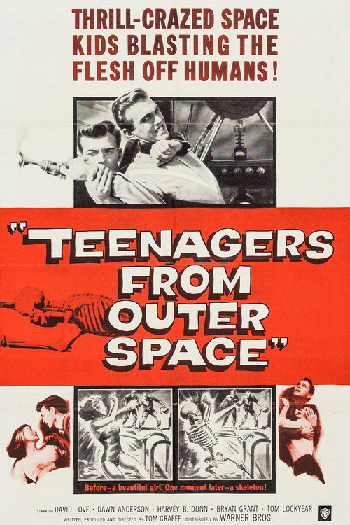 Teenagers from Outer Space постер