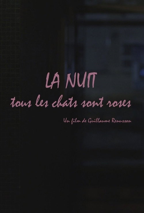 La nuit, tous les chats sont roses постер