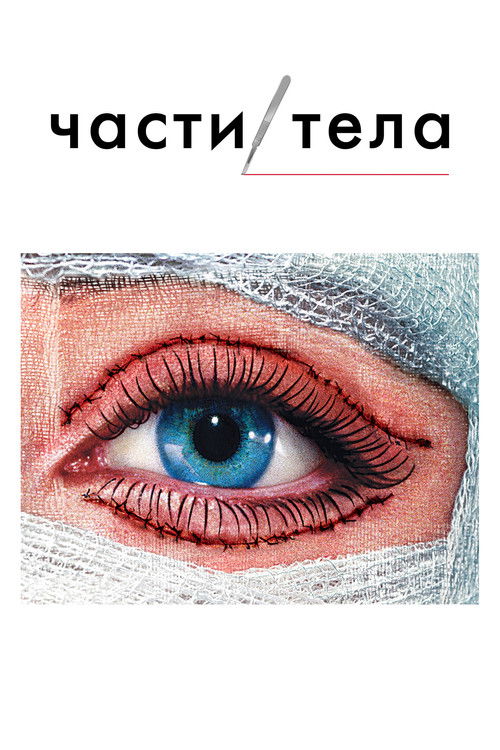 Части тела постер