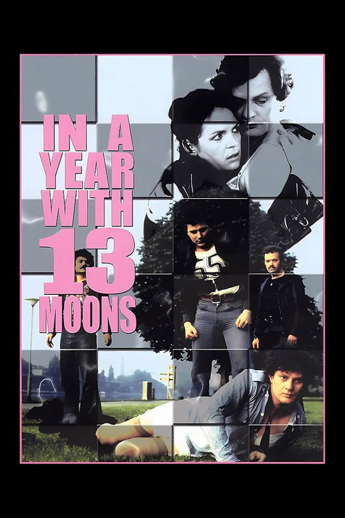 In a Year with 13 Moons постер