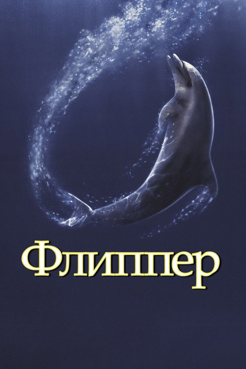 Флиппер постер