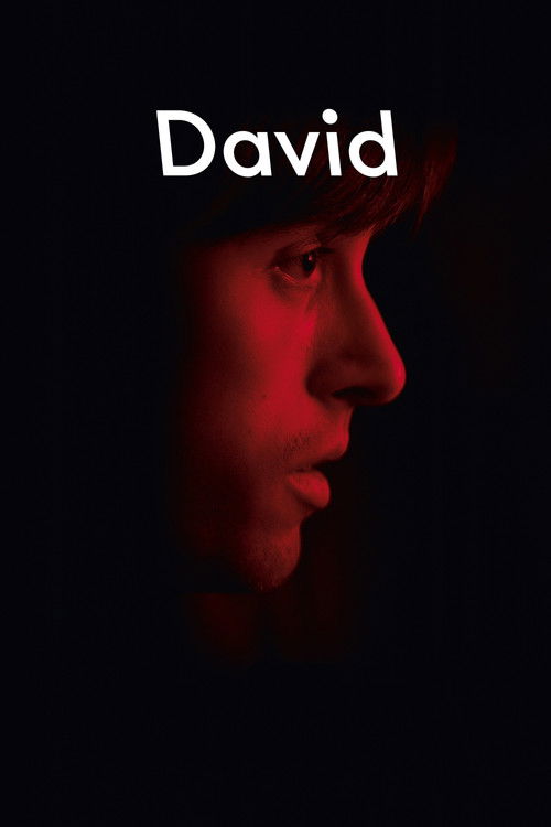 David постер