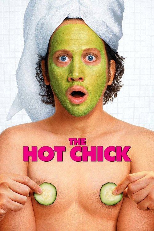 The Hot Chick постер