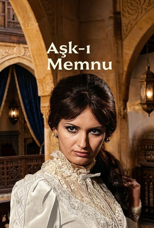 Aşk-ı Memnu постер