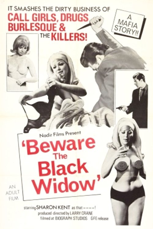Beware the Black Widow постер