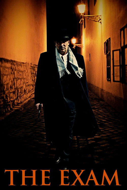 A vizsga постер