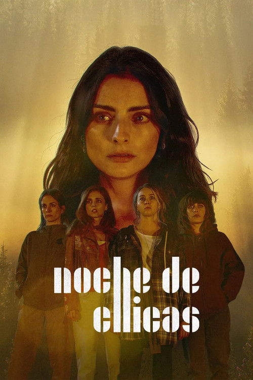 Noche de chicas постер