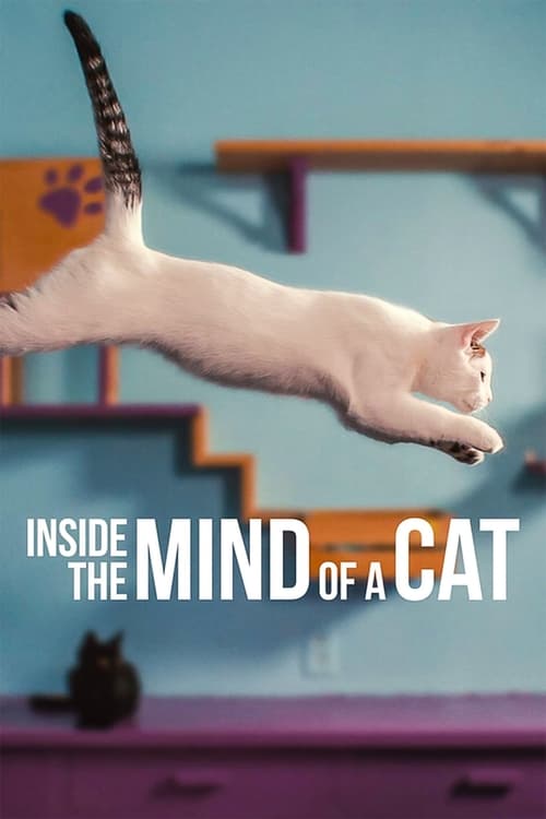 Inside the Mind of a Cat постер