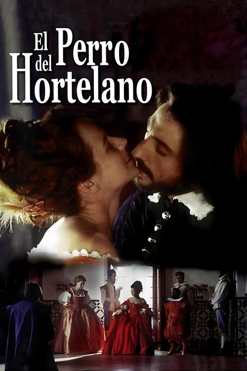 Собака на сене постер