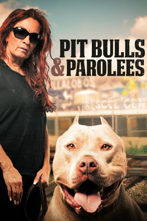 Pit Bulls and Parolees постер
