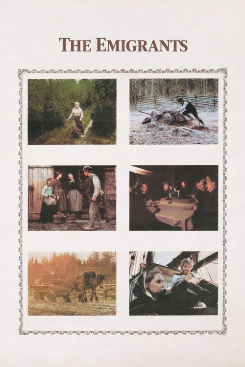 Эмигранты постер
