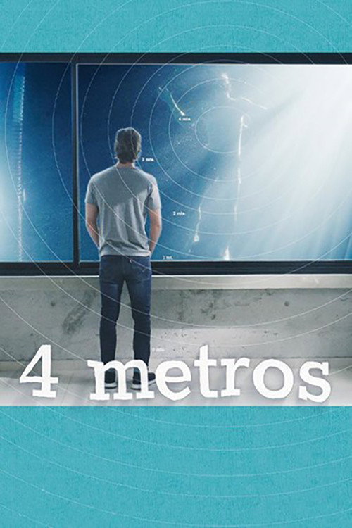 4 metros постер
