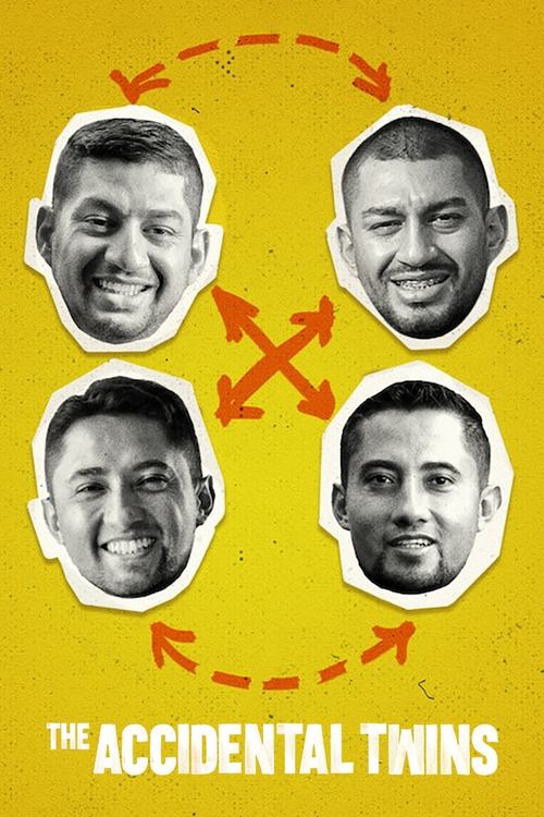 The Accidental Twins постер
