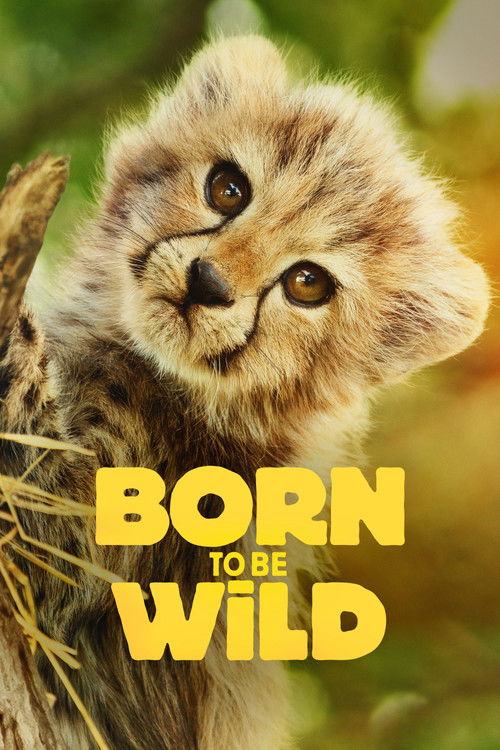 Born to Be Wild постер