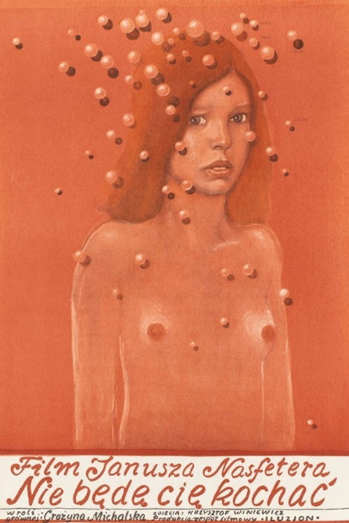 Nie będę cię kochać постер