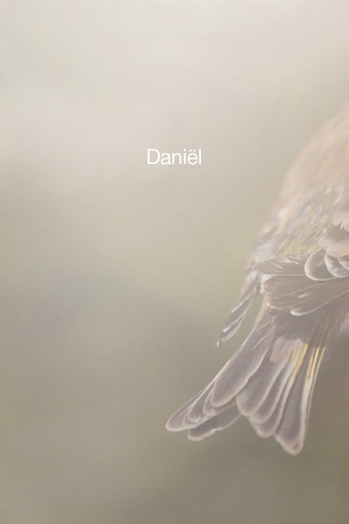 Daniël постер