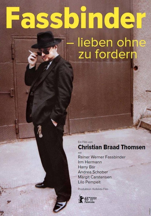 Fassbinder: Love Without Demands постер