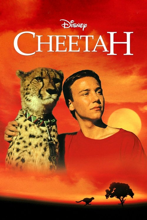 Cheetah постер