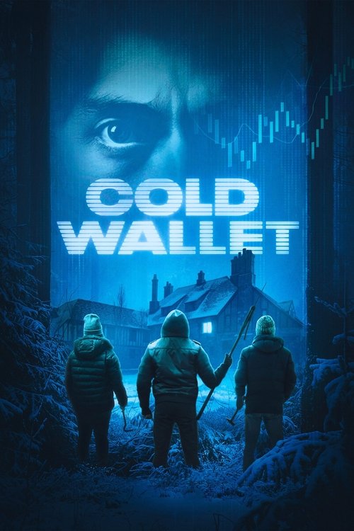 Cold Wallet постер