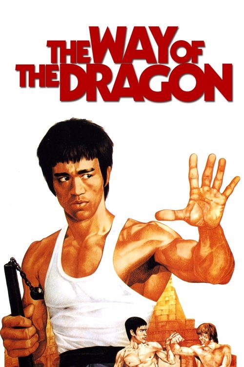 The Way of the Dragon постер