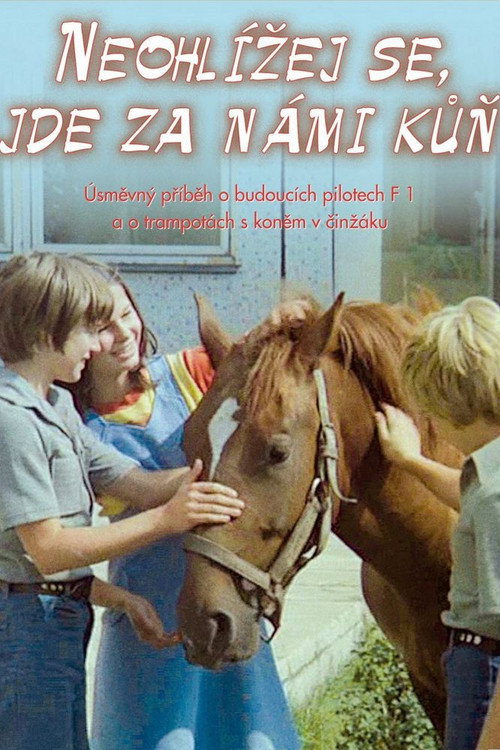 Don't Look Back, There Is a Horse Behind Us постер